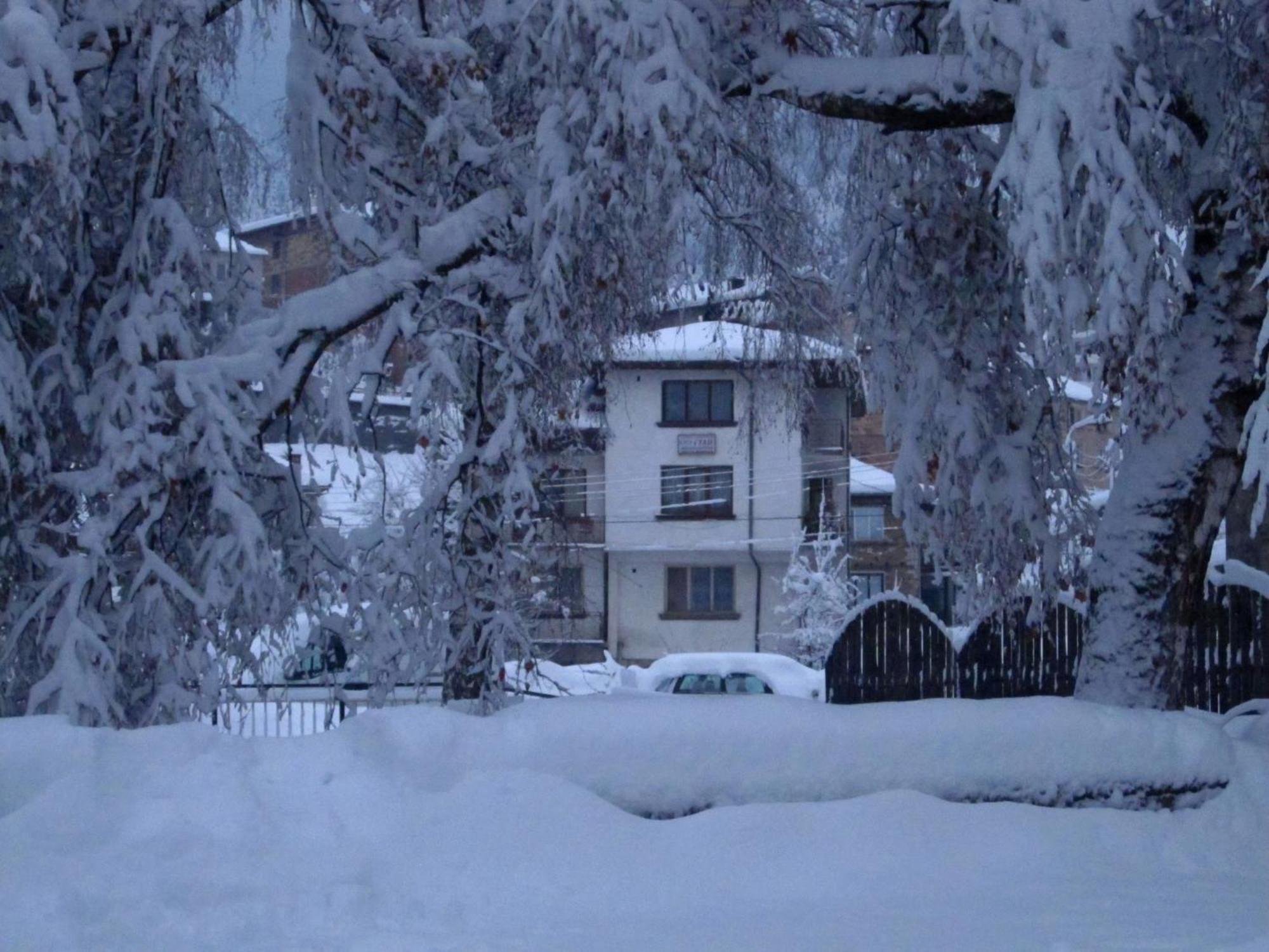 Guest Rooms Metaksinovi Chepelare Dış mekan fotoğraf